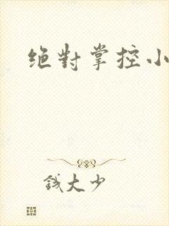 绝对掌控小说
