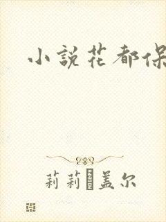 小说花都保镖
