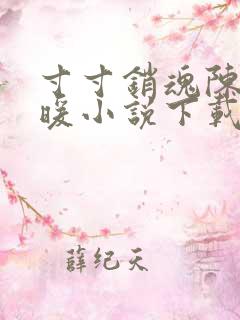 寸寸销魂陈聪王暖小说下载