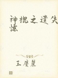 神棍之遗失的记忆