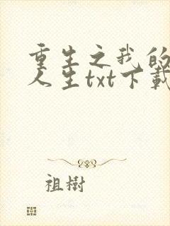 重生之我的书记人生txt下载