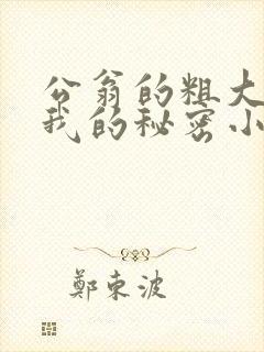 公翁的粗大放进我的秘密小说