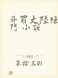 斗罗大陆绝世唐门 小说