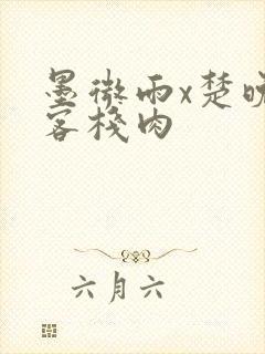 墨微雨x楚晚宁客栈肉