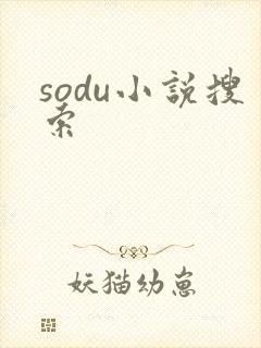 sodu小说搜索