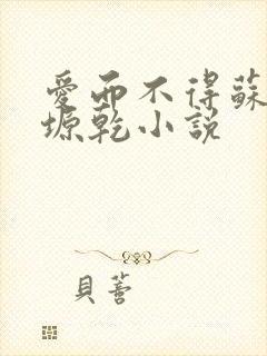 爱而不得苏路顾塬乾小说