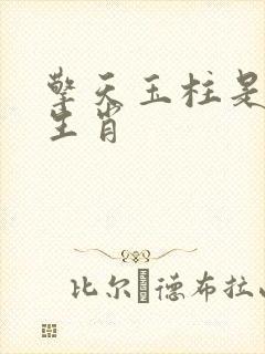 擎天玉柱是什么生肖