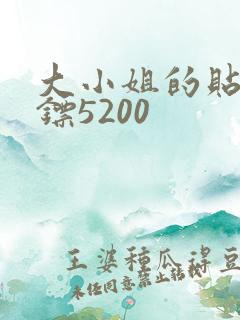大小姐的贴身保镖5200