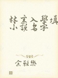 林寒入学填未婚小说名字