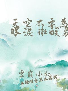 天空不要为我掉眼泪 微酸袅袅