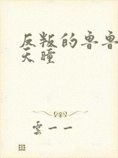 反叛的鲁鲁修之天瞳