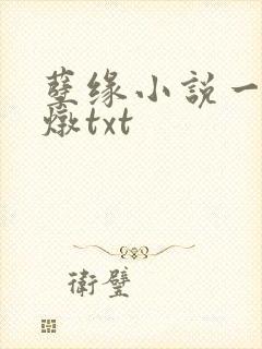 孽缘小说一家乱炖txt