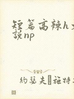 短篇高辣h文小说np