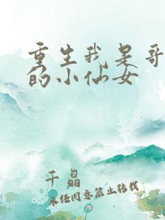 重生我是哥哥们的小仙女