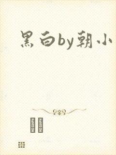 黑白by朝小诚