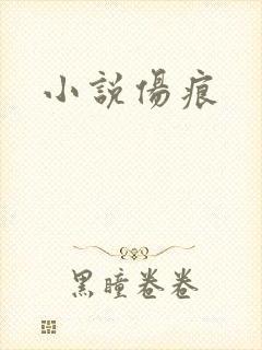 小说伤痕