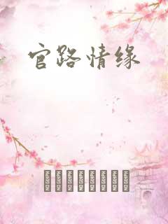 官路情缘