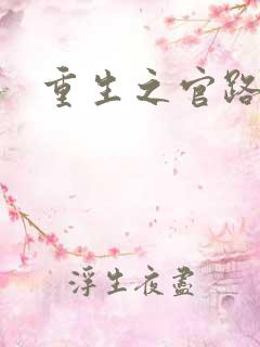 重生之官路风流