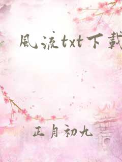 风流txt下载