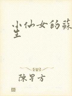 小仙女的苏撩先生