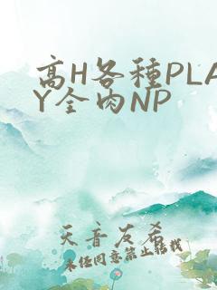 高H各种PLAY全肉NP