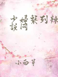 少妇系列辣文小说网