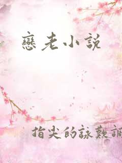 恋老小说