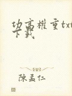 功高权重txt下载