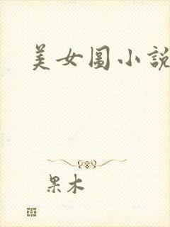 美女图小说下载