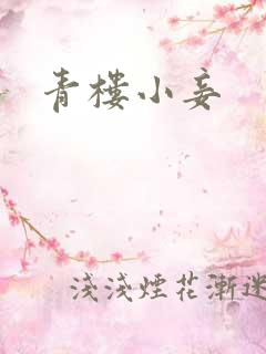 青楼小妾