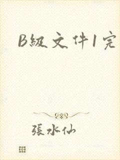 B级文件1完整