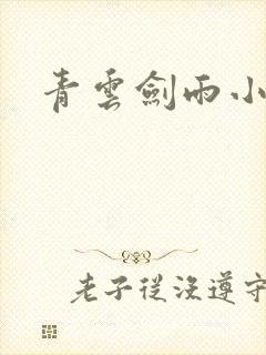 青云剑雨小说