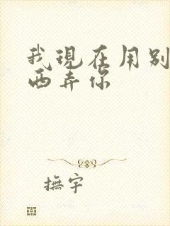 我现在用别的东西弄你