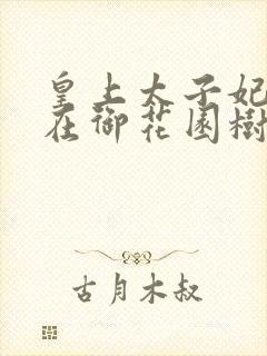 皇上太子妃沈音在御花园树上