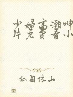 少妇高潮呻吟A片免费看小说