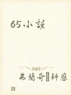 65小说