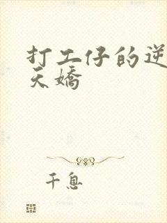 打工仔的逆袭楚天娇