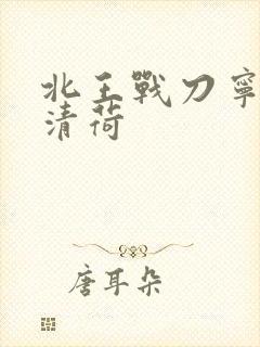 北王战刀宁北苏清荷