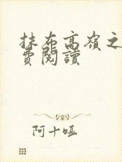 抹布高岭之花免费阅读