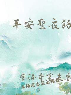 平安圣夜的祭礼