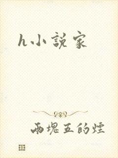 h小说家