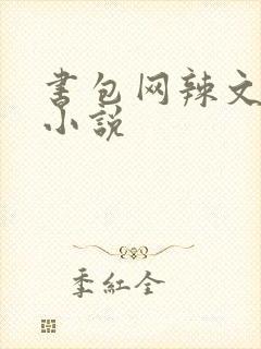 书包网辣文全本小说