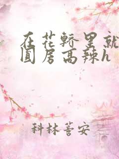 在花轿里就开始圆房高辣h