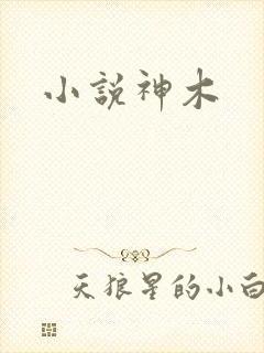小说神木