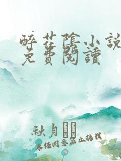 醉花阴小说全文免费阅读