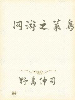 网游之菜鸟高手