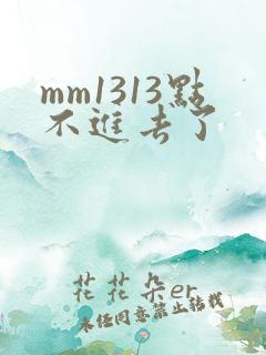 mm1313点不进去了