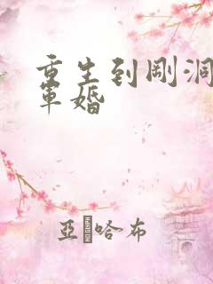 重生到刚洞房的军婚