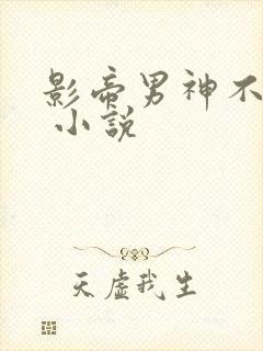 影帝男神不节制 小说