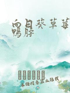 向日葵草莓丝瓜鸭脖